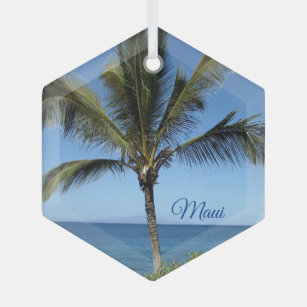 Adorno De Cristal Maui Hawaii Bonito de fotografía Palm Tree