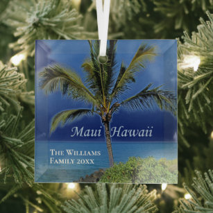 Adorno De Cristal Maui Hawaii Hermosa Casa de Playa del Personalizad