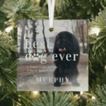 Adorno De Cristal Mejor perro de la historia | Oferta y regalo fotog<br><div class="desc">"Una casa no es un hogar sin huellas de pata". Personalizar este adorno de vidrio con su propia foto de mascota. Con adorable papel impreso, nombre mascota y encantadora cita. Mantenga la cita tal como está o cambie la leyenda de su personalizado. Se pueden cambiar todos los colores. ¡Este adorno...</div>