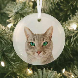 Adorno De Cristal Minimalista Crea Tu Propia Foto De Mascota Persona