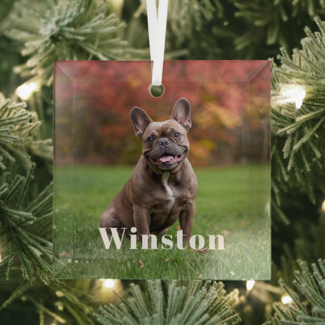 Adorno De Cristal Modern Custom Pet Name Photo Holiday (in situ)