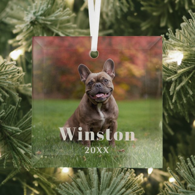 Adorno De Cristal Modern Custom Pet Name Year Photo Holiday (in situ)