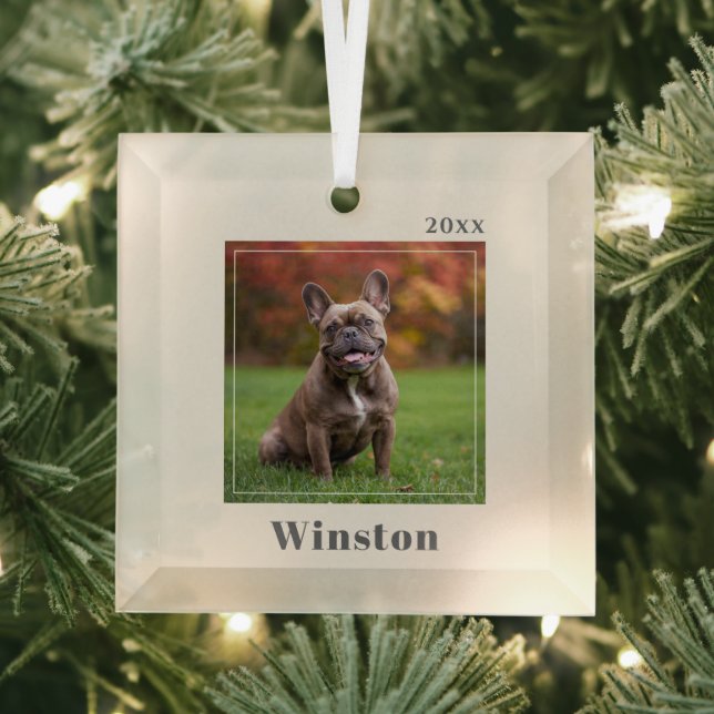 Adorno De Cristal Modern Ivory Custom Pet Name Photo (in situ)