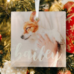 Adorno De Cristal Moderna y lúdica foto de Mascota de Moda simple y<br><div class="desc">Este diseño sencillo y clásico está compuesto por tipografía de la síspera y añada una foto personalizado de su mascota.</div>