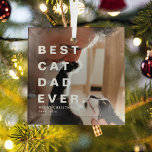Adorno De Cristal Moderno y mejor CAT DAD Personalizado Foto<br><div class="desc">El mejor padre del gato moderno,  Personalizado de la foto. Ornamento de Navidad. Un regalo perfecto para los amantes del gato durante la temporada festiva.</div>