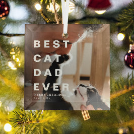 Adorno De Cristal Moderno y mejor CAT DAD Personalizado Foto