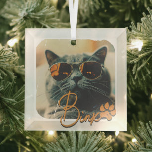 Adorno De Cristal Moderno y sencillo nombre y foto de gato en Guay