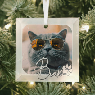 Adorno De Cristal Moderno y sencillo nombre y foto de gato en Guay