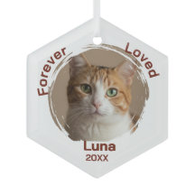 Monumento conmemorativo personalizado de gato domé
