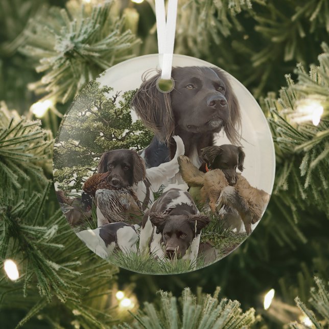 Adorno De Cristal Munsterlander (in situ)