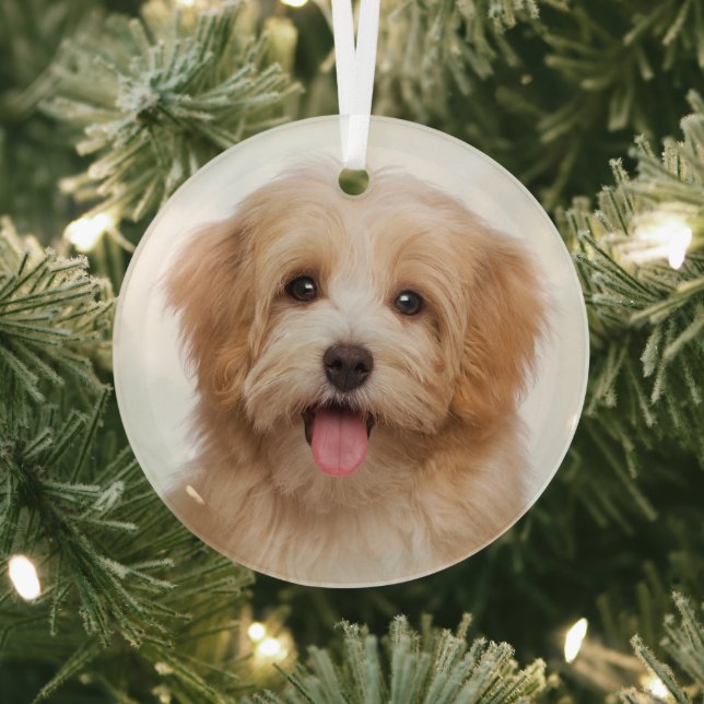 Adorno De Cristal Navidad con foto de mascota personalizada (in situ)