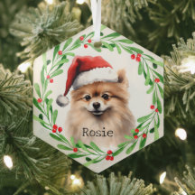 Navidades Perro Mascota de vacaciones de Pomerania