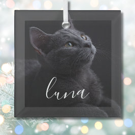 Adorno De Cristal Nombre de la foto del gato mascota