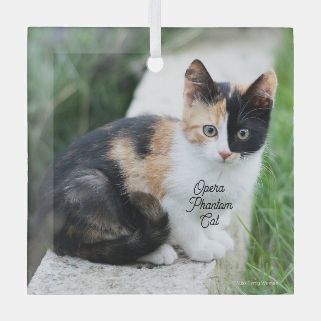 Adorno De Cristal Opera Phantom Cat (Anverso)