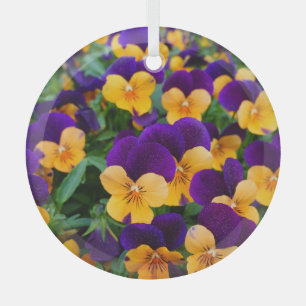 Adorno De Cristal Pansy Bloom: La Belleza Jardín de cerca.