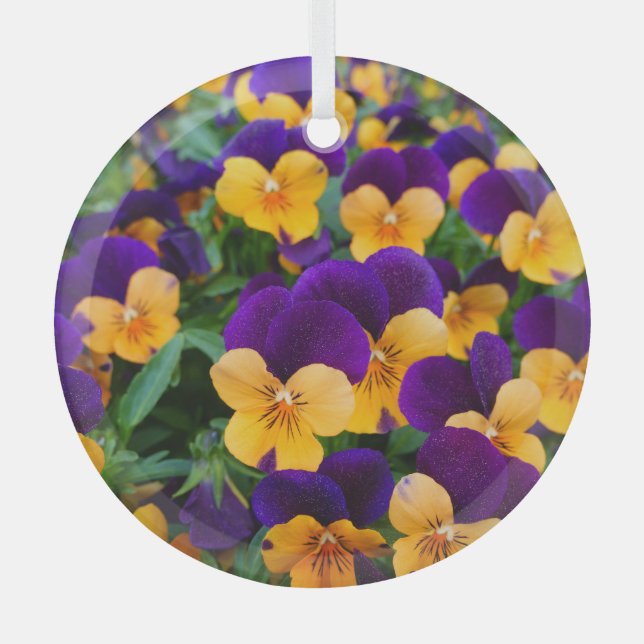 Adorno De Cristal Pansy Bloom: La Belleza Jardín de cerca. (Anverso)