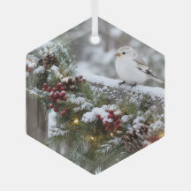 Pardillo de Navidad de Invierno