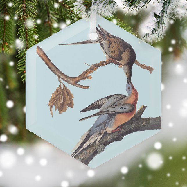 Adorno De Cristal Pareja auduónica de cirujanos pasajeros besándose (Audubon Pair of Passenger Pigeons Glass ornament in snowy Christmas Tree)