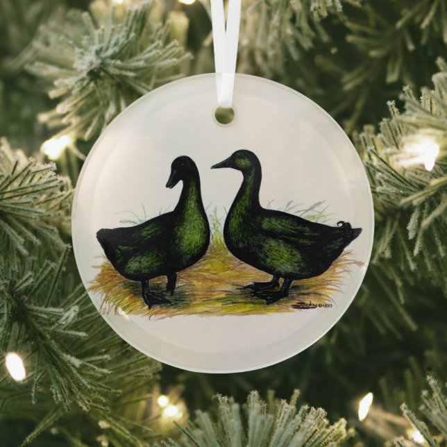 Adorno De Cristal Patos: Cayuga Pair (in situ)