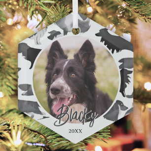 Adorno De Cristal Patrón de Border Collie Nombre del perro Foto Nav