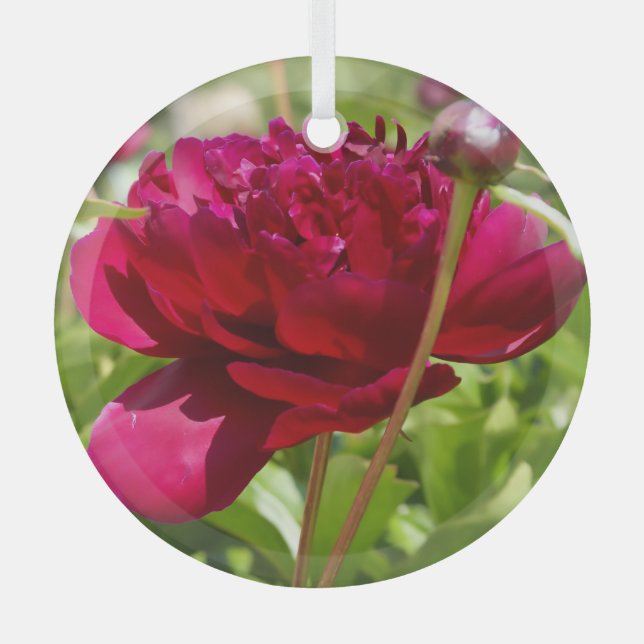 Adorno De Cristal peonías de terciopelo maroon oscuro (Anverso)