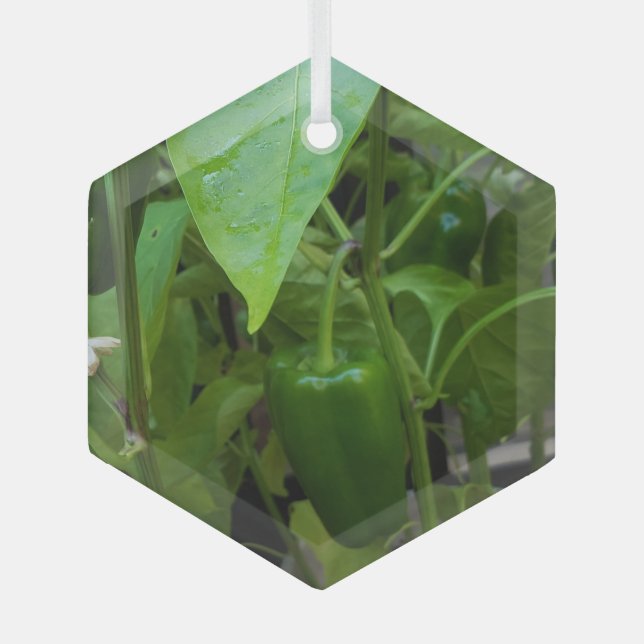 Adorno De Cristal Peppers verdes (Anverso)