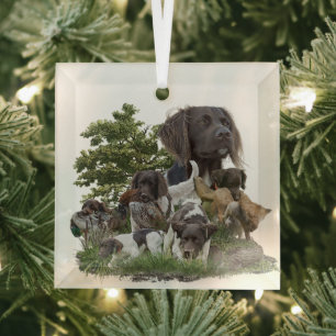 Adorno De Cristal Pequeño Munsterlander