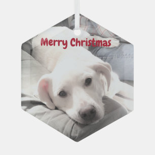Adorno De Cristal Perro de cachorro blanco con papá en el sofá