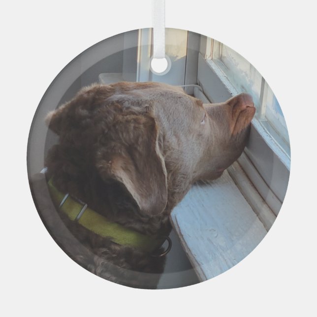 Adorno De Cristal Perro en la ventana (Anverso)