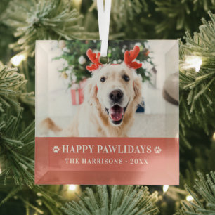 Adorno De Cristal Perro Navidad Foto Moderna Feliz Pawlidays