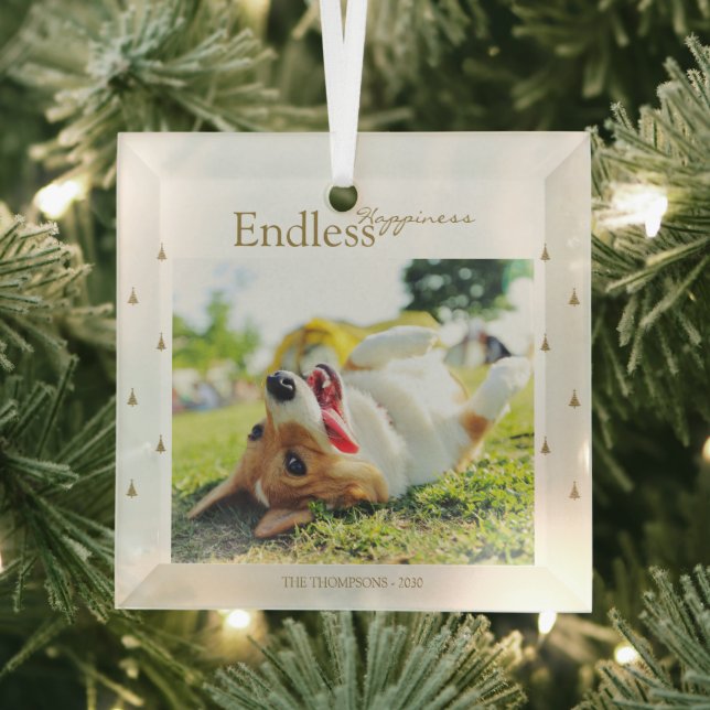 Adorno De Cristal Personalizado de Felicidad sin fin Navidades de fo (in situ)