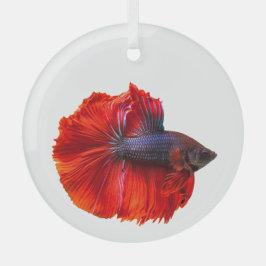 Adorno De Cristal Pez Betta de cola roja flotante