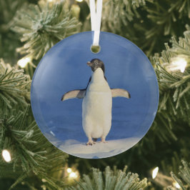 Adorno De Cristal Pingüino gracioso en foto de hielo