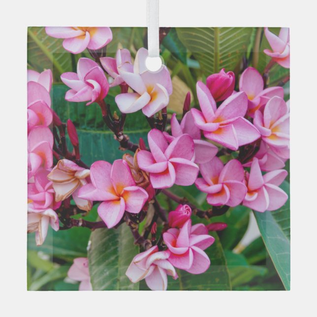 Adorno De Cristal Plumeria rosa (Anverso)