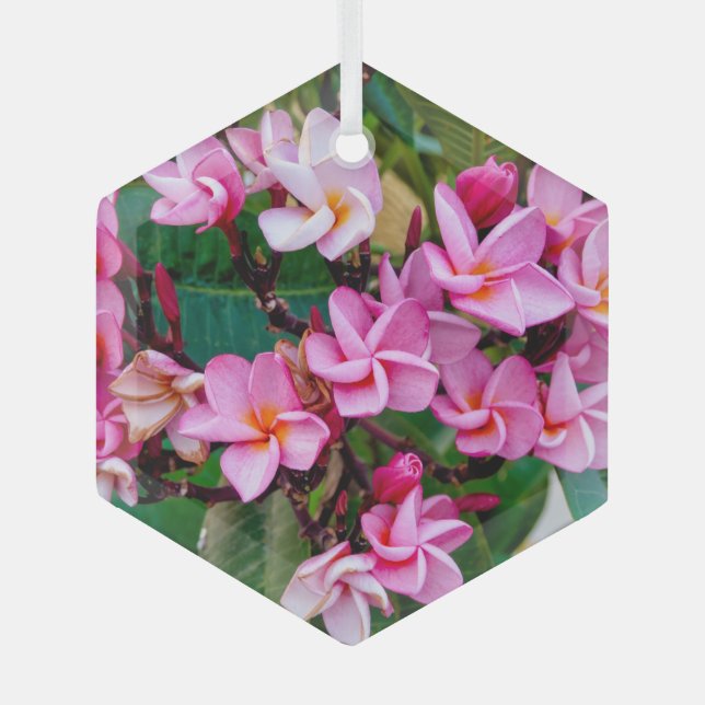 Adorno De Cristal Plumeria rosa (Anverso)