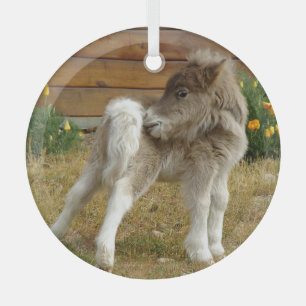 Adorno De Cristal Poppy Pony