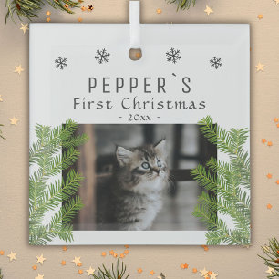 Adorno De Cristal Primer Gatito De Navidad Gato Pino Foto Recuerdo