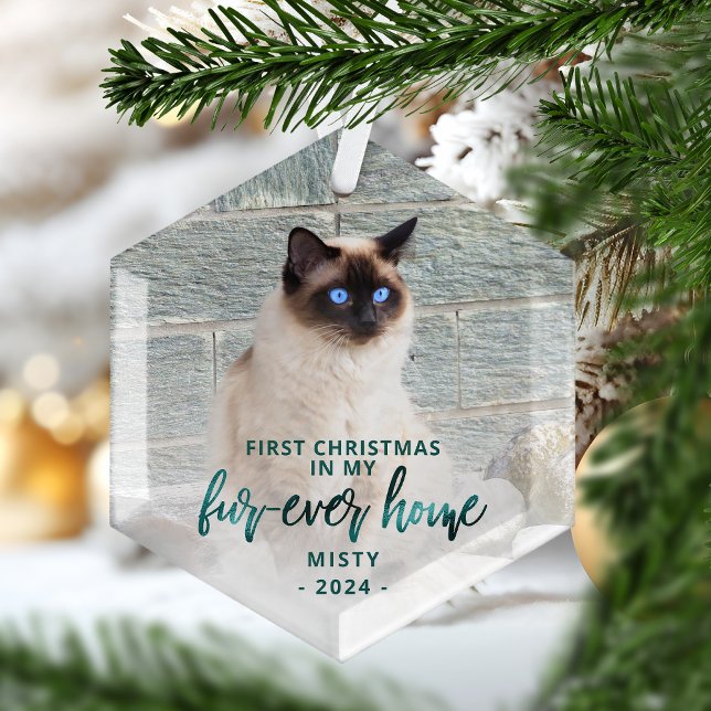 Adorno De Cristal Primer Mascota navideño para siempre foto verde Ve (Subido por el creador)