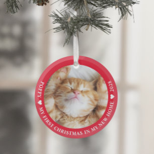 Adorno De Cristal Primera foto de gatito gatito de Navidad