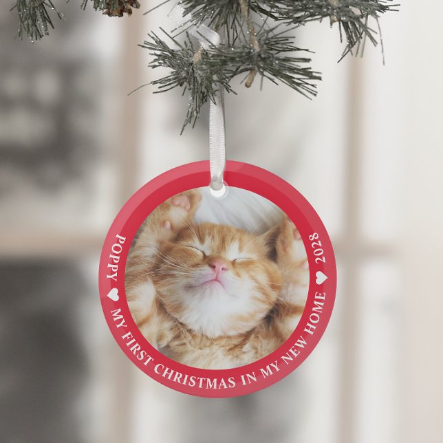 Adorno De Cristal Primera foto de gatito gatito de Navidad (Subido por el creador)