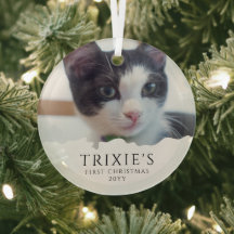 Primera foto navideña del gato de un Mascota Minim