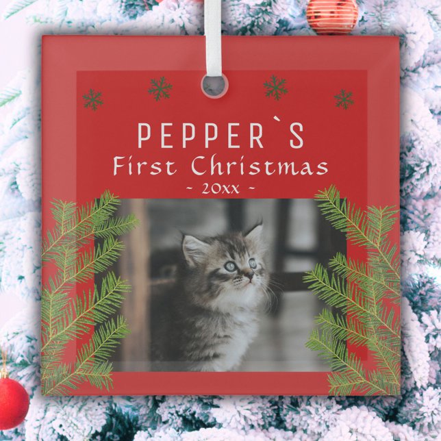 Adorno De Cristal Primera Navidad Gatito Gato Pine Foto Keepsake (Subido por el creador)