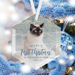 Adorno De Cristal Primera Navidad Hogar Permanente Mascota Foto Azul