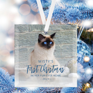 Adorno De Cristal Primera Navidad Hogar Permanente Mascota Foto Cuad