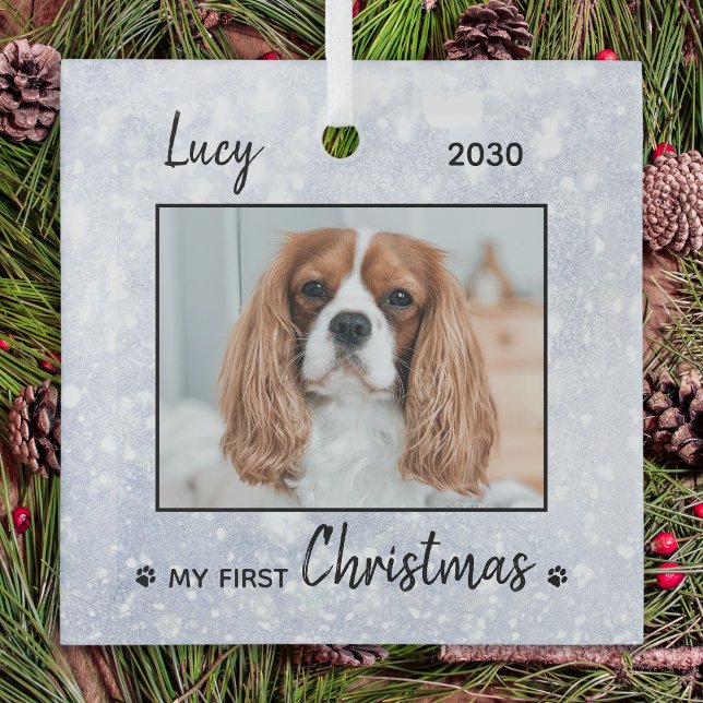 Adorno De Cristal Primerísima Cachorro de Navidad - Foto de Mascota  (Subido por el creador)