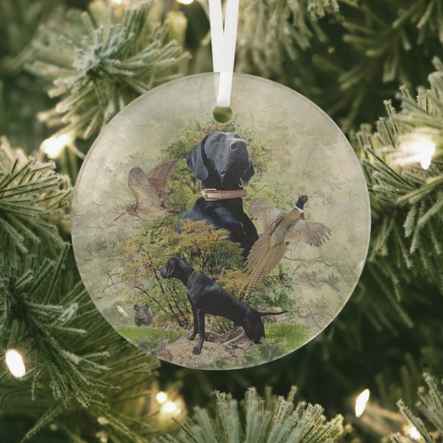 Adorno De Cristal Puntero de Shorthtransmitió alemán (in situ)