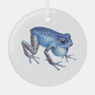 Adorno De Cristal Rana de fresa venenosa