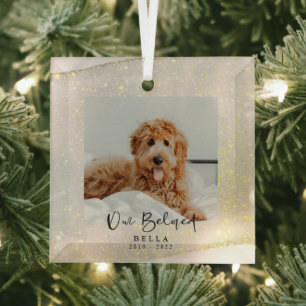 Adorno De Cristal Recuerdo conmemorativo de pérdida de mascota queri