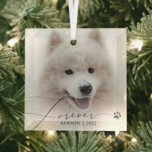 Adorno De Cristal Recuerdo de Mascota Huella de Perro con Foto Per