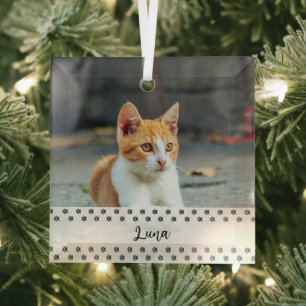 Adorno De Cristal Recuerdo de vacaciones con foto de gato para amant